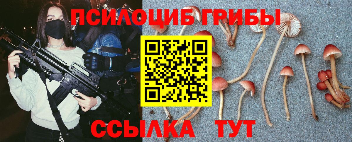 Псилоцибиновые грибы ЛСД Нягань