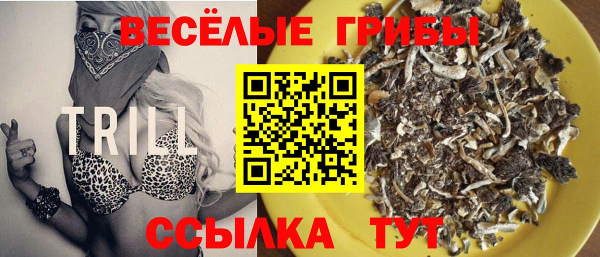 Нягань  как найти закладки  Галлюциногенные грибы Cubensis  Вход с VPN  Галлюциногенные грибы GOLDEN TEACHER 